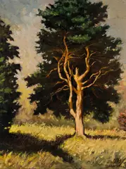 Józef Charyton, Sosna, 1973 r., 1973, olej, płótno, 83
