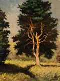 Józef Charyton, Sosna, 1973 r., 1973, olej, płótno, 83