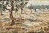 Włodzimierz Zakrzewski, Pejzaż z drzewami oliwnymi, 1987 r.