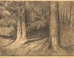 Stanisław Szwarc, W lesie, litoforta (litografia), papier