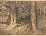 Stanisław Szwarc, W lesie, litoforta (litografia), papier