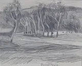 Stanisław Kamocki, Paczółtowice, ok. 1908 r.