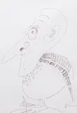 Maciej Świeszewski, Pelikan