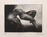 Krzysztof Skórczewski, Diabeł, 1982, 1982, mezzotinta, papier