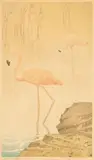 Aleksander Laszenko, Brodzące flamingi, 1934 r.