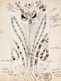 Józef Mehoffer, Ornament, tusz, papier, 12