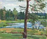 Wincenty Wodzinowski, Teren operacji wojennych Wołyń, 1915 r.