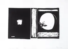 Wilhelm Sasnal, Unexisting book, 2009, 2009, linoryt, papier