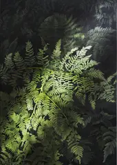 Natalia Rybka, Bez tytułu, 2017, 2017, olej, płótno