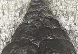 Magdalena Abakanowicz, Plecy, 1987 r., 1987, litografia, papier