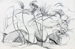 Zdzisław Cyankiewicz, Pejzaż z drzewami, tusz, papier, 22