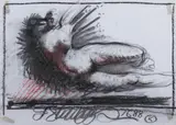 Akt z ptakiem, 1988 r. by Franciszek Starowieyski, 1988, kredka, ołówek, papier, sold Jul 2021