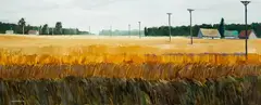 Łukasz Dymiński, Pola, 2021, 2021, olej, płótno