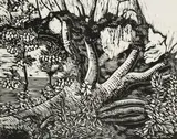 Henryk Połubiński, Pejzaż po burzy, 1977, 1977, drzeworyt, papier