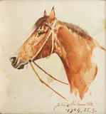 Juliusz Holzmüller, Głowa konia, 1904 r.