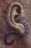 Tomasz Alen Kopera, Poison, 2015