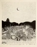 Henryk Płóciennik, Noc, 1974