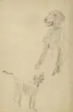 Józef Mehoffer, Szkic psa, ołówek, papier