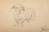 Kazimierz Podsadecki, Jamnik, 1938 r.