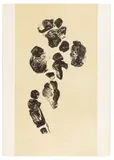 Witold-K, Bez tytułu, z cyklu People, 1967 r.
