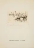 Eugeniusz Get-Stankiewicz, Ex libris Andrzeja Włodarskiego, 1990 r., 1990, sucha igła, papier, 6