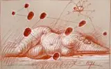 Franciszek Starowieyski, Geometria plam niebieskich, 1991 1691 (1991 r.)