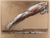 Boska noga (La jambe divine), 1988 r. by Franciszek Starowieyski, 1988, pastel, papier, 49, sold Apr 2020