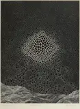 Jerzy Znamierowski, Struktury organiczne I, 1980 r., 1980, metaloryt trawiony, papier