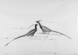 Bronisław Chromy, Bażanty