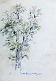 Grusza by Wlastimil Hofman, ołówek, akwarela, papier, sold Oct 2019