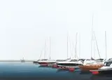 Tomasz Kołodziejczyk, Marina, 2019