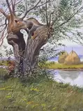 Zygmunt Bujnowski, Pejzaż podlaski, 1925 r., 1925, akwarela, papier, 26