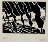Stefan Szmaj, Topole III, 1920 r., 1920, linoryt, papier