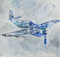 Bartek Pszon, Samolot, 2018, 2018, olej