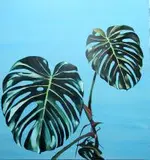 No name, 002. Monstera, 2018, 2018, olej, akryl, płótno