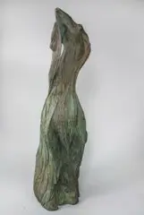 Bronisław Chromy, Afgan