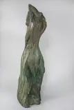 Bronisław Chromy, Afgan