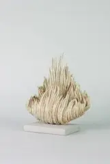 Jakub Biewald, Forma morska, ceramika szkliwiona