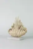 Jakub Biewald, Forma morska, ceramika szkliwiona