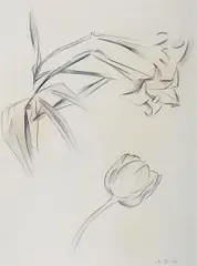 Stanislaw Kubicki, Kwiaty, 1931 r., 1931, węgiel, papier
