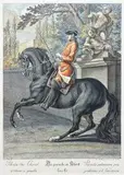 Parada na koniu kłusującym w lewo/ Parade du cheval trottant à gauche by Johann Elias Ridinger według, litografia kolorowana, papier, 53, sold Oct 2018