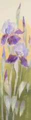 Barbara Perlikowska, Tryptyk : Irysy i maki, 2012 / 2013 r., pastel, papier