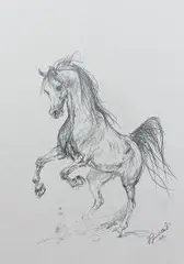 Zenon Aniszewski, Szkic konia, 2018 r., 2018, ołówek, papier