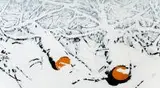 Robert Motelski, Śnieg 27 grudnia 09:22, 2011, 2011, olej, płótno