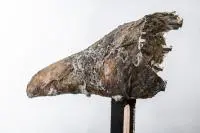 Magdalena Abakanowicz, Artus, z serii "Hoofed Mammals Heads", 1993, 1993, brąz, żelazo