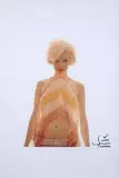Bert Stern, Zdjęcie Marilyn Monroe z ostatniej sesji zdjęciowej do Vogue, 1962 r., 1962, fotografia, papier