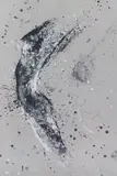 Amonaria Magda Maciaszek, Splash Woman 13, 2017, 2017, akryl, płótno