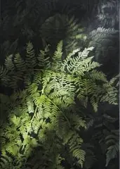 Natalia Rybka, Bez tytułu, 2017, 2017, olej, płótno