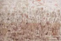 Mariola Świgulska, Otulają delikatnością z cyklu Zauroczona Dmuchawcami, 2017, 2017, akryl, płótno