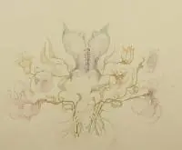 Alicja Wahl, Kompozycja z kwiatami, 1974 r., 1974, tusz, papier, 48
